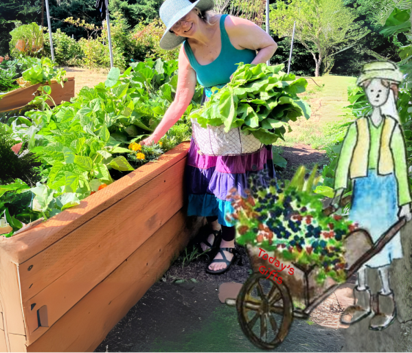 Today’s-gifts-from-the-garden